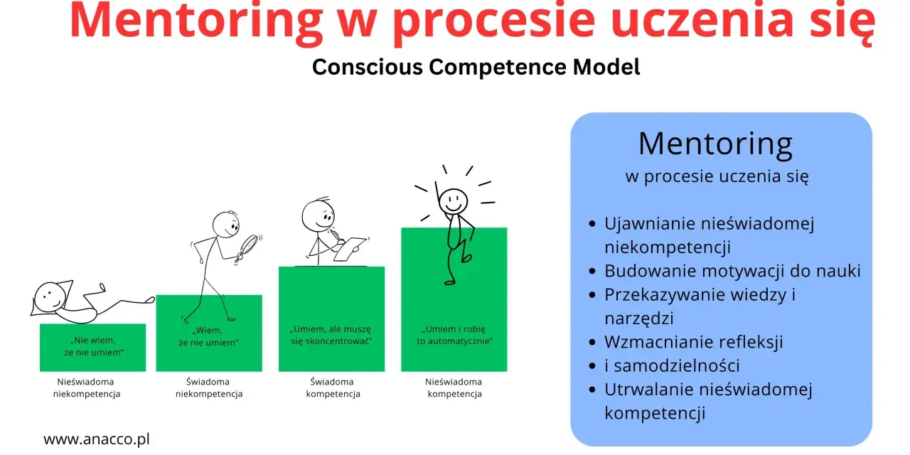 Mentor to ten, kto pomaga przejść przez etapy uczenia się, od nieświadomości do biegłości. Grafika ilustruje model świadomości kompetencji.