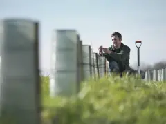 Leśniczy sadzi drzewka. Zastanawiasz się, ile zarabia leśniczy? Praca w lesie wymaga zaangażowania.