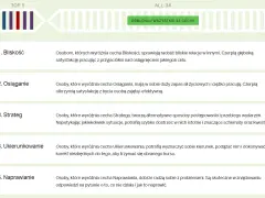 Analiza mocnych i słabych stron lidera: Bliskość, Osiąganie, Strateg, Ukierunkowanie, Naprawianie.