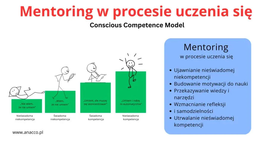 Mentor to ten, kto pomaga przejść przez etapy uczenia się, od nieświadomości do biegłości. Grafika ilustruje model świadomości kompetencji.