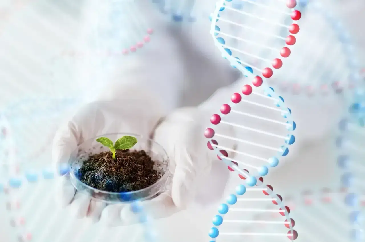 Ręce w rękawiczkach trzymają kiełkującą roślinę w szalce Petriego. W tle widoczne są modele DNA, symbolizujące zaawansowane zawody związane z biologią i biotechnologią.